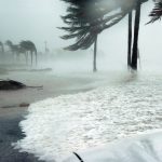 Florida hurricane season
