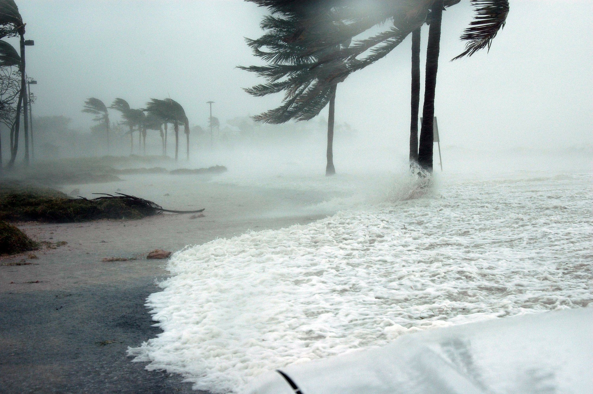 Florida hurricane season