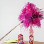 indoor spring cleaning