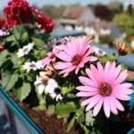 exterior home staging